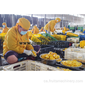 Línia de producció de màquines d&#39;embalatge de sucs de mango